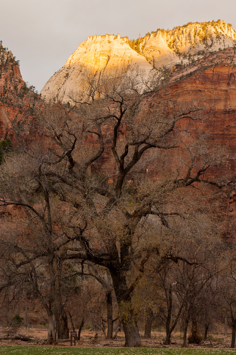 xpmod手机版(xpmod安卓手机中文版)-第2张图片-QuickQ官网