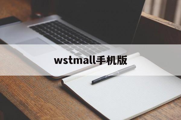 wstmall手机版的简单介绍-第1张图片-QuickQ官网