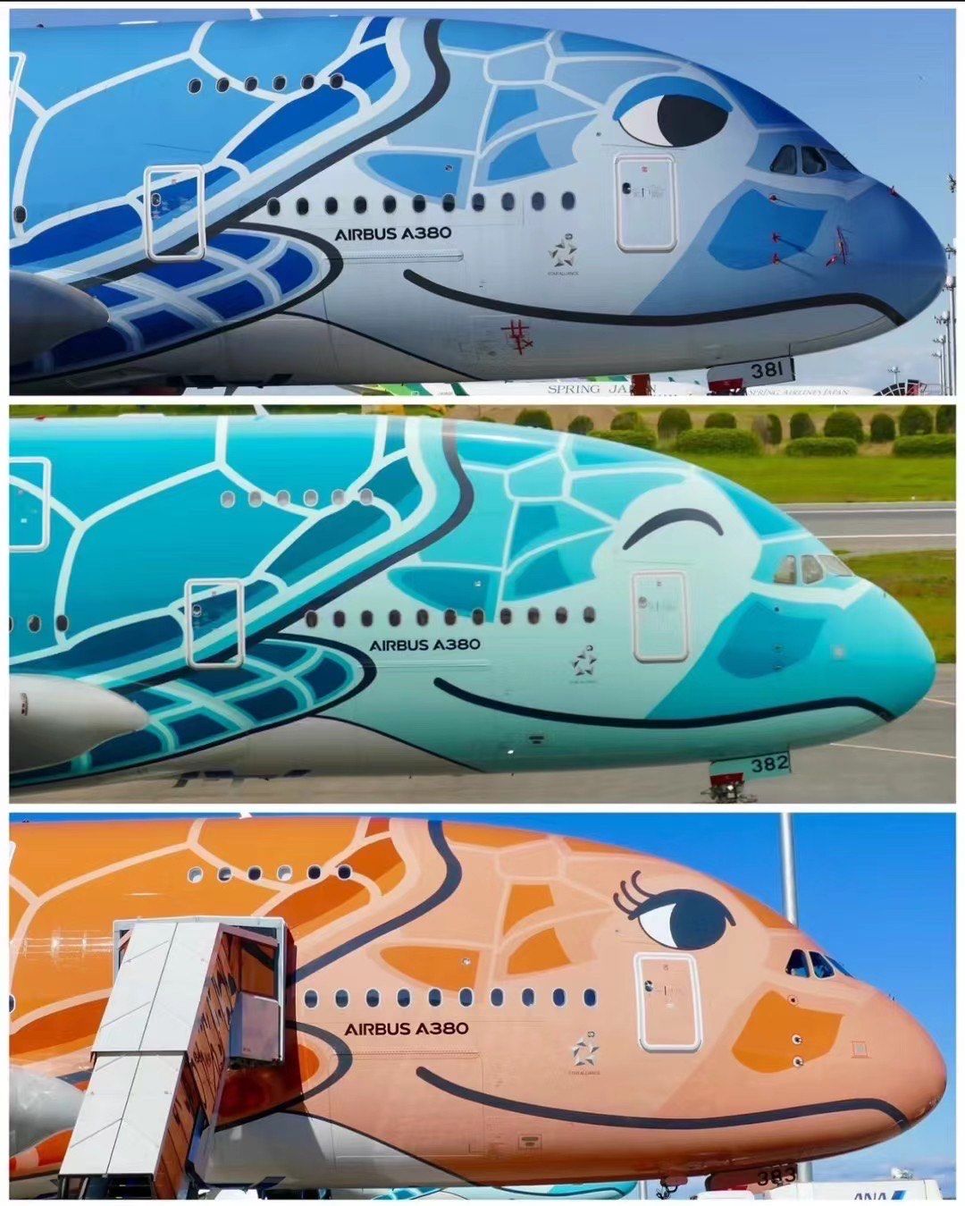 关于飞行乌龟有手机版的吗的信息-第4张图片-QuickQ官网 关于飞行乌龟有手机版的吗的信息-第4张图片-QuickQ官网