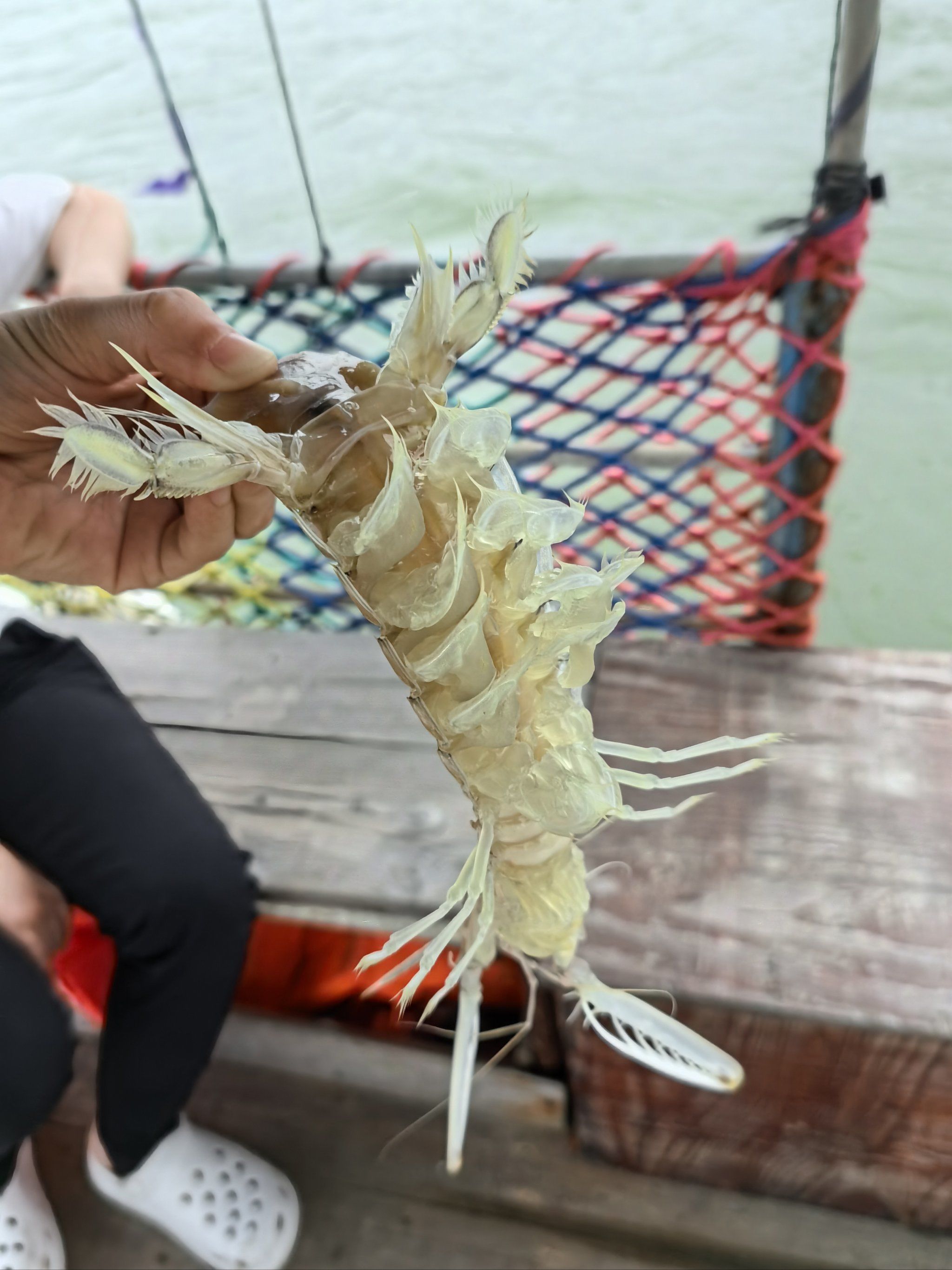 大满贯捕鱼手机版(大满贯捕鱼手机版下载)-第5张图片-QuickQ官网