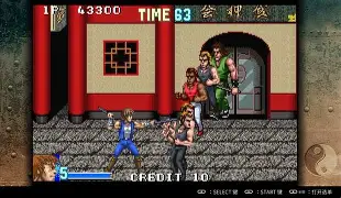 双截龙纯净版苹果版(双截龙手机版下载单机)-第5张图片-QuickQ官网