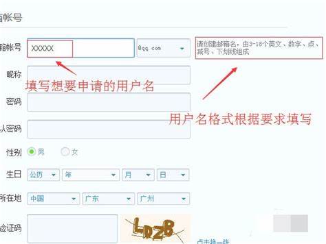 qq邮箱手机版怎么使用(邮箱手机版怎么使用教程)-第1张图片-QuickQ官网